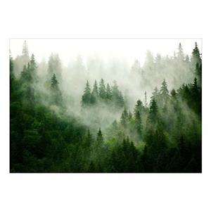 Walljar.com Walljar - Fotobehang - Mountain Forest (Green)