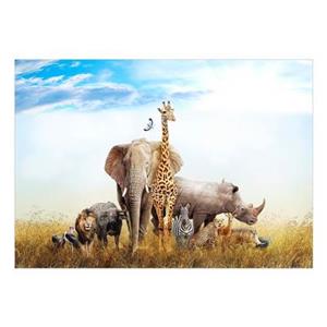 Walljar.com Walljar - Fotobehang - Fauna of Africa