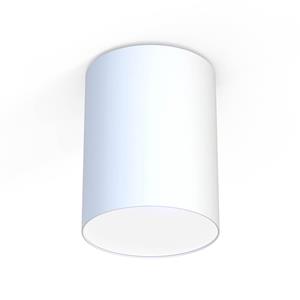 Nowodvorski Lighting Plafondlamp Cameron, wit, Ø 30 cm
