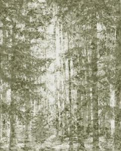 KOMAR Vlies Fototapete - Fading Forest - Größe 200 x 250 cm mehrfarbig