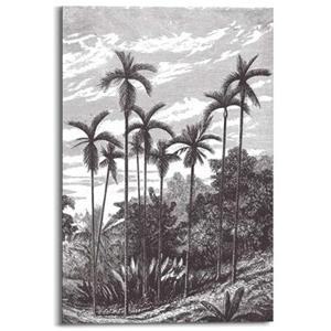 Leen Bakker Wandpaneel Charcoal Palmbomen - zwart - 60x90 cm