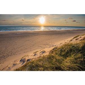 Papermoon Fotobehang Dunes beach Jutland