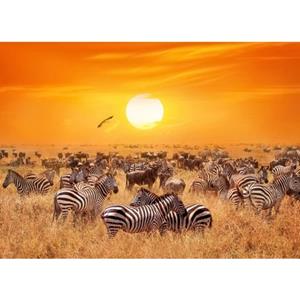 Papermoon Fototapete »African Antelopes and Zebras«, glatt