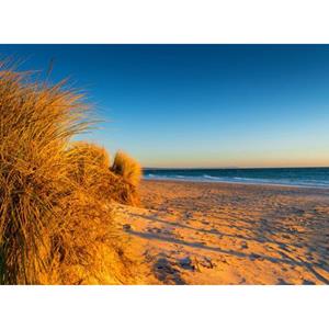 Papermoon Fotobehang Dunes Chelsea beach Australia