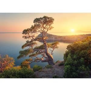 Papermoon Fotobehang Tree Mountain Sunset