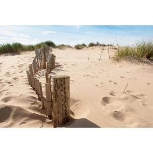 Papermoon Fotobehang Dunes Sandy beach