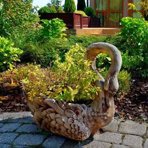 Gartentraum.de Einzigartige Pflanzschale zum Bepflanzen - Schwan aus wetterfestem Steinguss - Erasmia / Koryntia