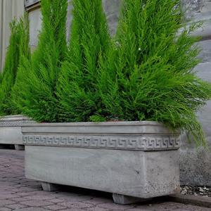 Gartentraum.de Eleganter Pflanztrog aus Steinguss mit griechischem Muster - Medea / Tyrolia