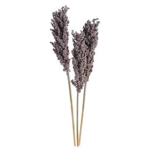 Leen Bakker Droogbloemen Indian Corn - lavendelkleur - 72 cm