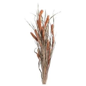 Leen Bakker Droogbloemen Bunch Setaria - zalmkleur - 66 cm