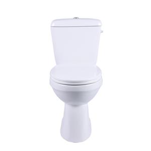 AquaVive duoblok toilet Ippari I PK aansluiting I Soft-close toiletzitting wit