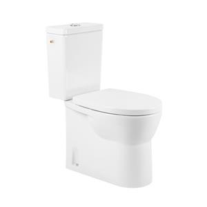 AquaVive duoblok toilet Cormor I Universele aansluiting I Randloos toiletpot wit