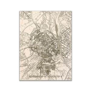 Brandthout Leuven Citymap hout H 70 B 50