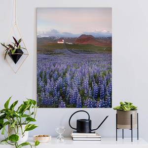 Klebefieber Leinwandbild Lavendelfeld in Frankreich