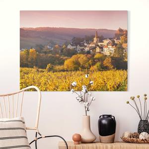 Klebefieber Leinwandbild Weinberge in Frankreich