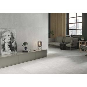 STN Ceramica Flax wand- en vloertegel - 59.5x120cm - 10mm - gerectificeerd - licht grijs SW07314022-2