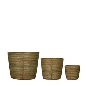 Dijk Natural Collections DKNC - Manden riet natuur - 38x32cm - Set van 3 - Natuurlijk