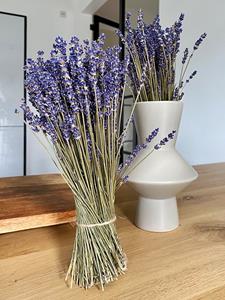 Zeitzone Lavendel Getrocknet Bund 2 Stück Trockenblumenstrauß Provence Natur