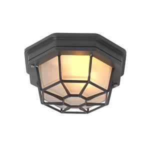 QAZQA Plafondlamp buiten bri - Donkergrijs - Landelijk - D 213mm
