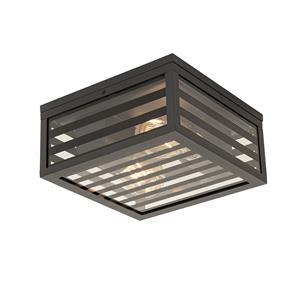 QAZQA Moderne buiten plafondlamp zwart met smoke glas 2-lichts IP44 - Reims