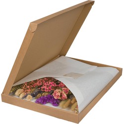 Hello Plants Droogbloemen in Letterbox - Pink - Ø 10 cm - Hoogte: 35 cm - Droogboeket