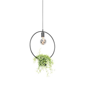 QAZQA Hanglamp roslini - Zwart - Modern - L 40cm
