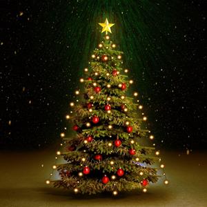 Kerstboom Netverlichting Met 210 LED's IP44 210 Cm
