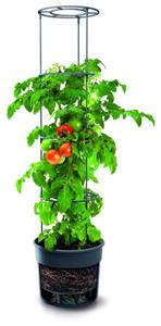 Prosperplast Groeipot voor tomaten, Grow 1 diameter 295 mm - antraciet