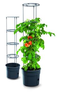 prosperplast Anzuchttopf für Tomaten, Grow 2 Durchmesser 392 mm - anthrazit