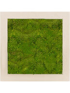 Mosschilderij - Polystone Natural 100% Platmos