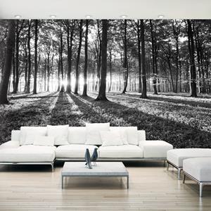 Karo-art Zelfklevend fotobehang - Grijze Wildernis, Bos, 490x280cm, premium print