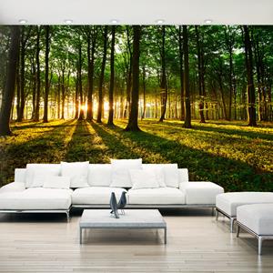 Karo-art Zelfklevend fotobehang - Mystieke Ochtend, Bos, 490x280cm, premium print