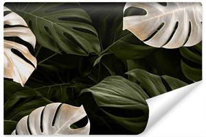 Karo-art Fotobehang - Wit en groene monstera bladeren, premium print, inclusief behanglijm