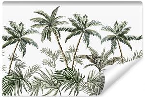 Karo-art Fotobehang - Palmbomen en exotische planten, licht behang aan de muur, 11 maten, inclusief behanglijm