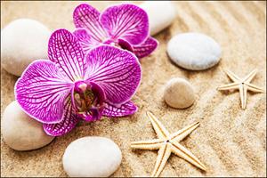Karo-art Fotobehang - Orchidee op het strand, Spa, inspiratie, zeester, in 11 maten te koop, incl behanglijm