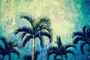 Karo-art Fotobehang - Palmbomen in Grunge stijl, Vintage, 11 maten, Prachtig aan je muur, inclusief behanglijm