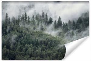 Karo-art Fotobehang - Bos in de mist , premium print, inclusief behanglijm