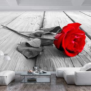 Karo-art Zelfklevend fotobehang - Verlaten Rode roos , Premium Print