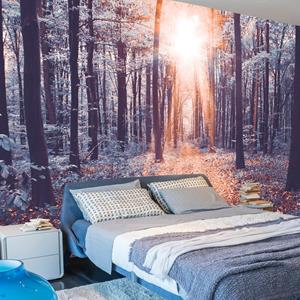 Karo-art Zelfklevend fotobehang - Randje van Zonlicht in een bos , Premium Print
