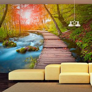 Karo-art Zelfklevend fotobehang - Vredig oase, bos, 8 maten, premium print