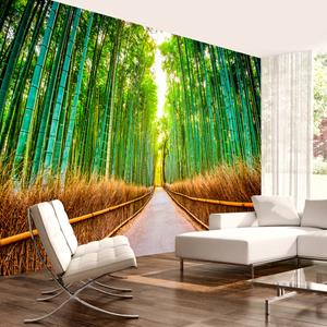 Karo-art Zelfklevend fotobehang - Bos van Bamboe , Premium Print