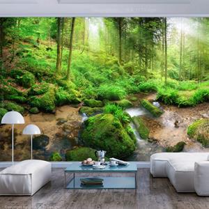 Karo-art Zelfklevend fotobehang - Vochtig bos in de ochtend , Premium Print
