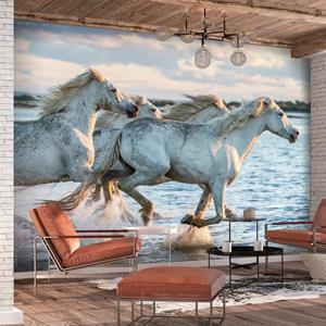 Karo-art Zelfklevend fotobehang - Race van Wilde paarden, Schimmels, Premium print