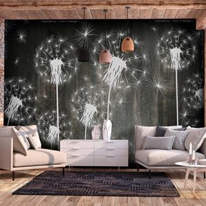 Karo-art Zelfklevend fotobehang - Herfst Explosie, Paardenbloemen, 7 maten, premium print