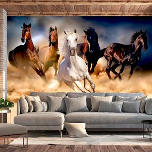 Karo-art Zelfklevend fotobehang - Wilde paarden, 8 maten, premium print