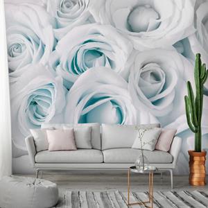 Karo-art Zelfklevend fotobehang - Rozen van Satijn in Turquoise wit , Premium Print