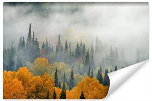 Karo-art Fotobehang - Mist in herfstbos, premium print, inclusief behanglijm
