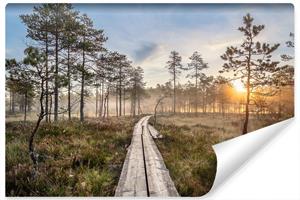 Karo-art Fotobehang - Houten pad door het bos, premium print, inclusief behanglijm