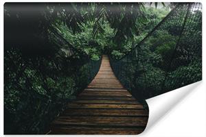 Karo-art Fotobehang - Hangbrug in het oerwoud, premium print, inclusief behanglijm