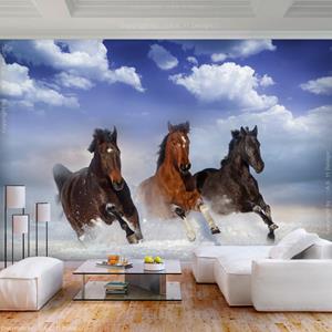 Karo-art Fotobehang -Paarden in de sneeuw, premium print vliesbehang